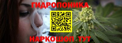 шишки Бузулук