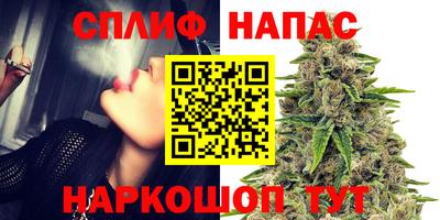 дурь Будённовск
