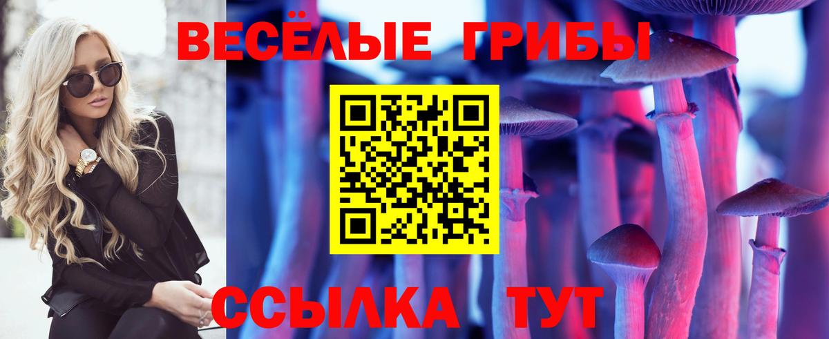 Шуя  Псилоцибиновые грибы мухоморы  Псилоцибиновые грибы GOLDEN TEACHER  Вход с VPN 